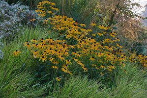 De Tuin van Fortmond
