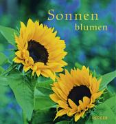 Sonnenblumen_Herder